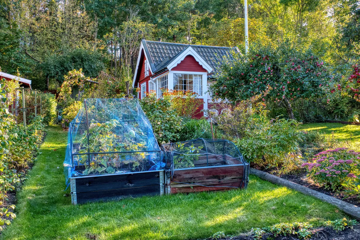 Rød hytte med grønn plen, drivbenk og frodig hage